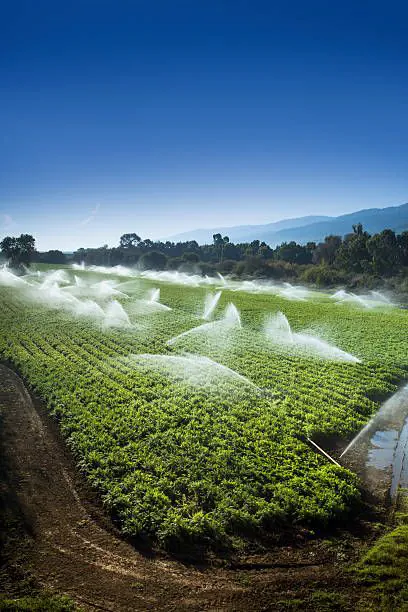 Smart Irrigation